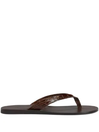 Giuseppe Zanotti
