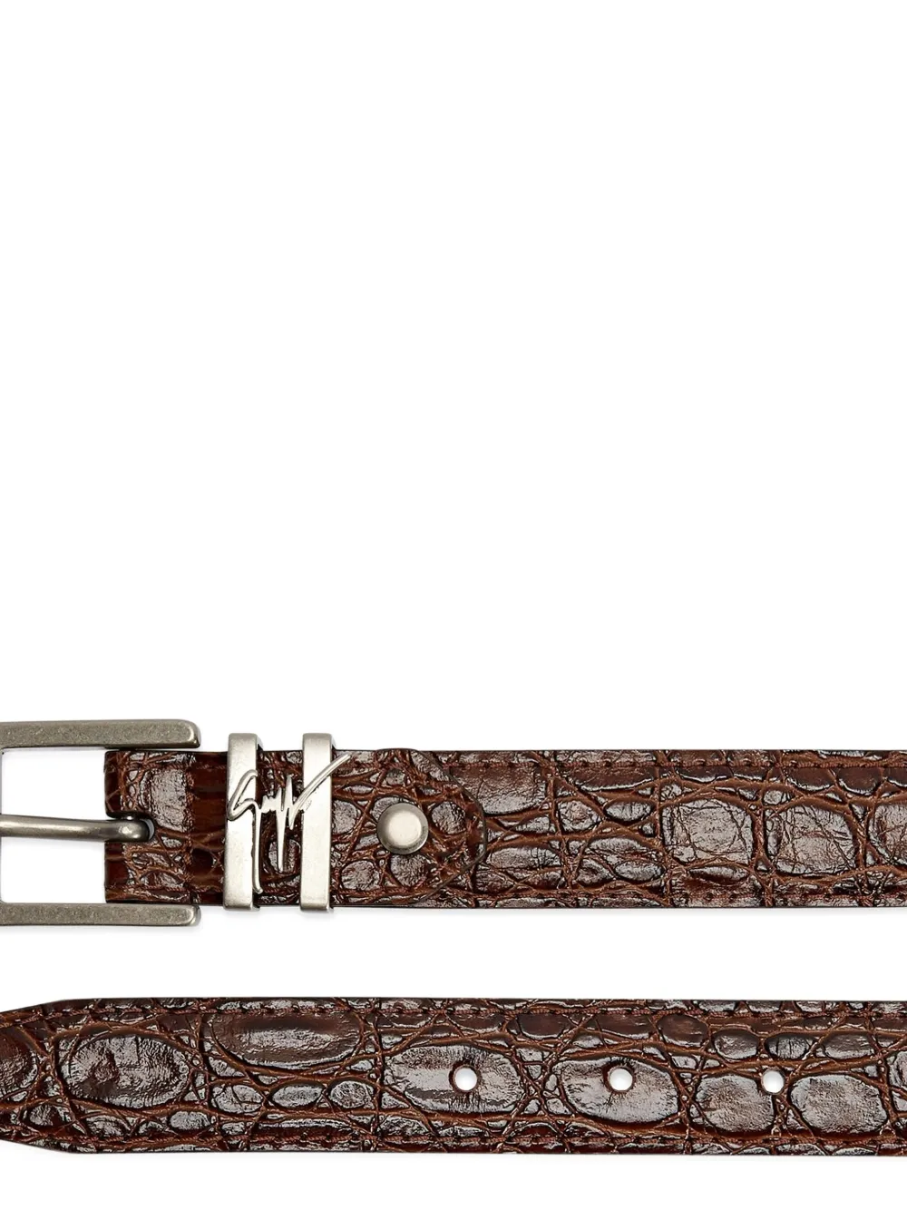 Giuseppe Zanotti Teodore riem Bruin