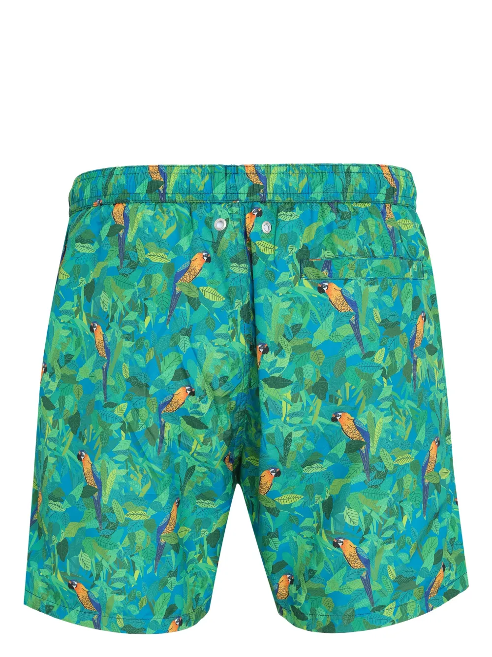 Amir Slama parrot-print swim shorts | Swim & Board Shorts | Image 2