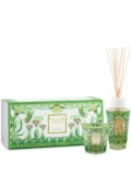 Baobab Collection My First Baobab Tomorrowland candle and diffuser set - Green