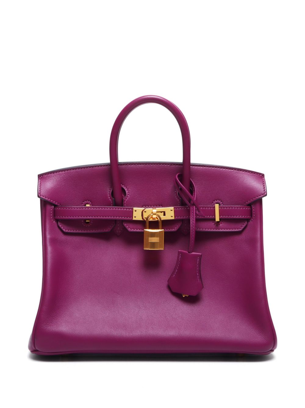 2020 Birkin 25 handbag