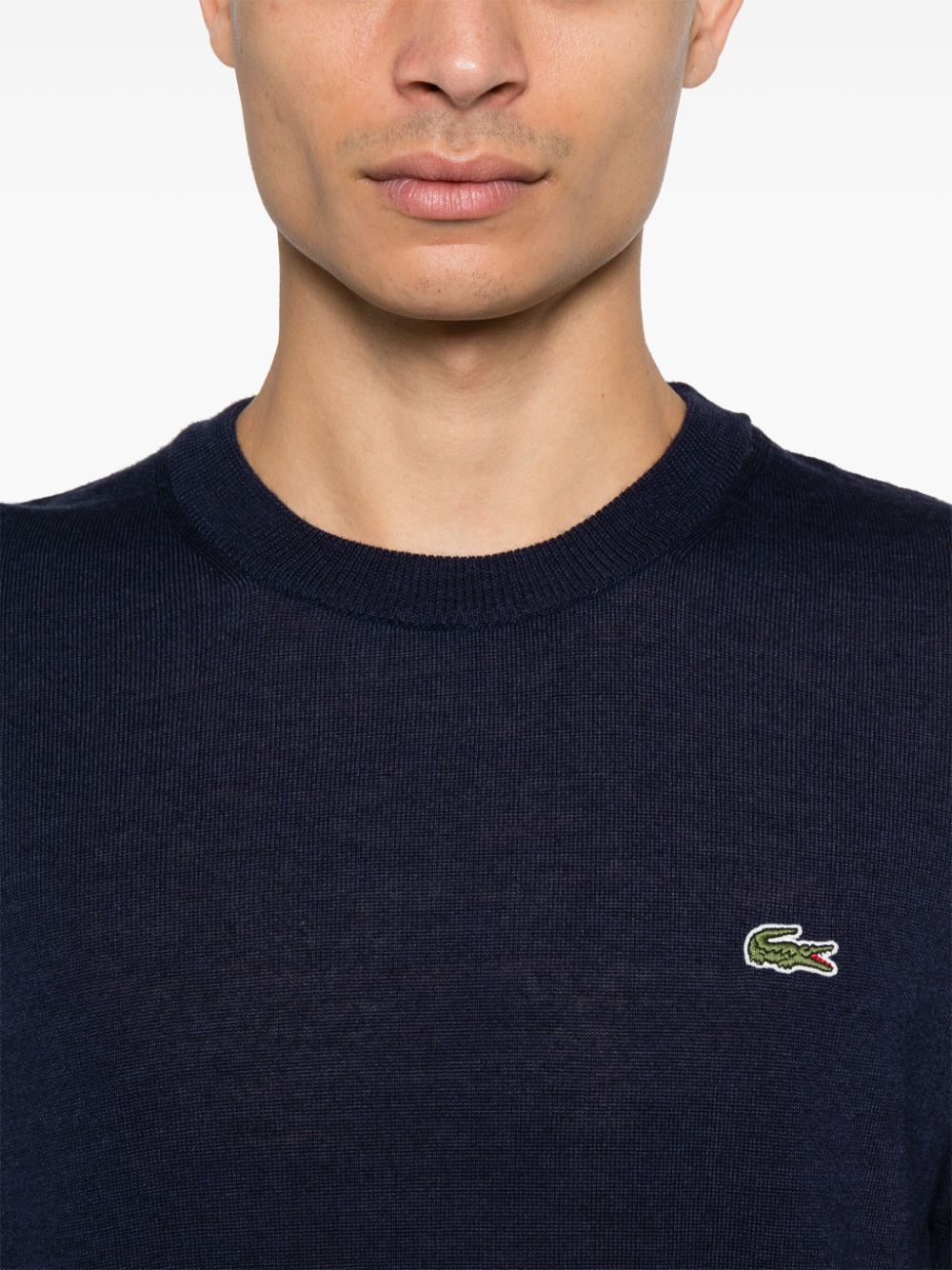 Shop Lacoste Logo-embroidered Sweater In Blau