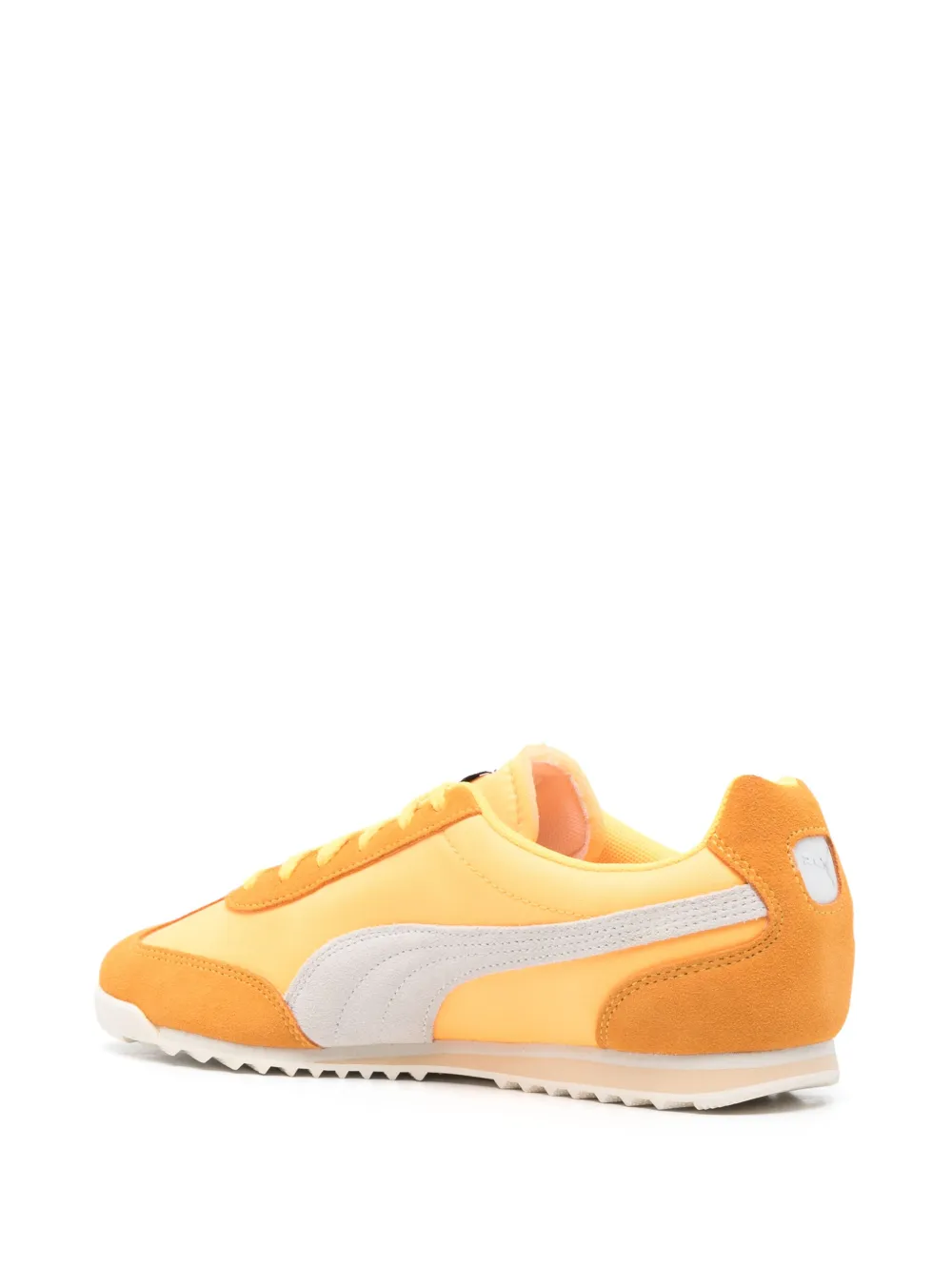 Arizona sneakers