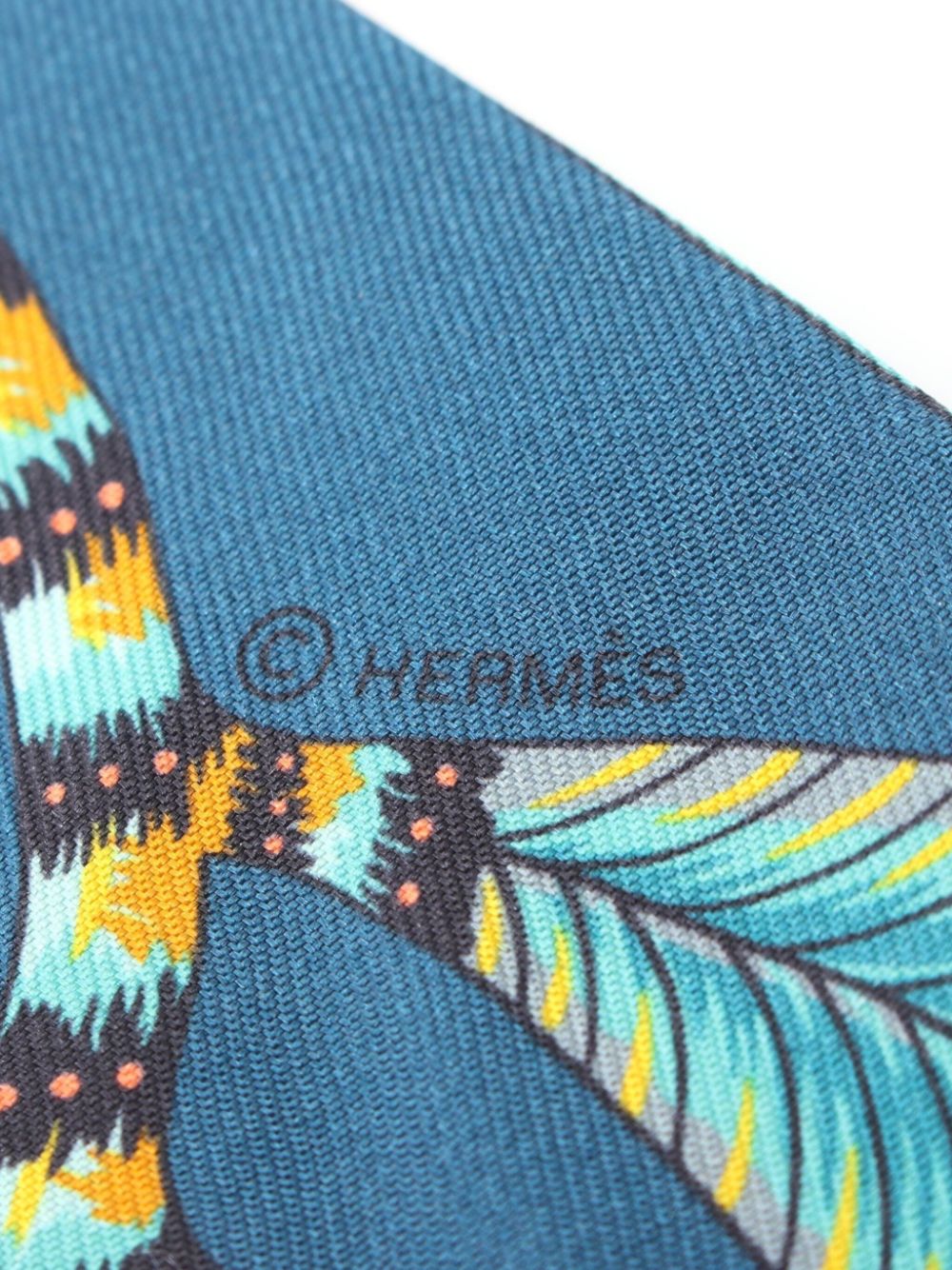 Hermès Pre-Owned 2010s Twilly The Savana Dance scarf - Blauw