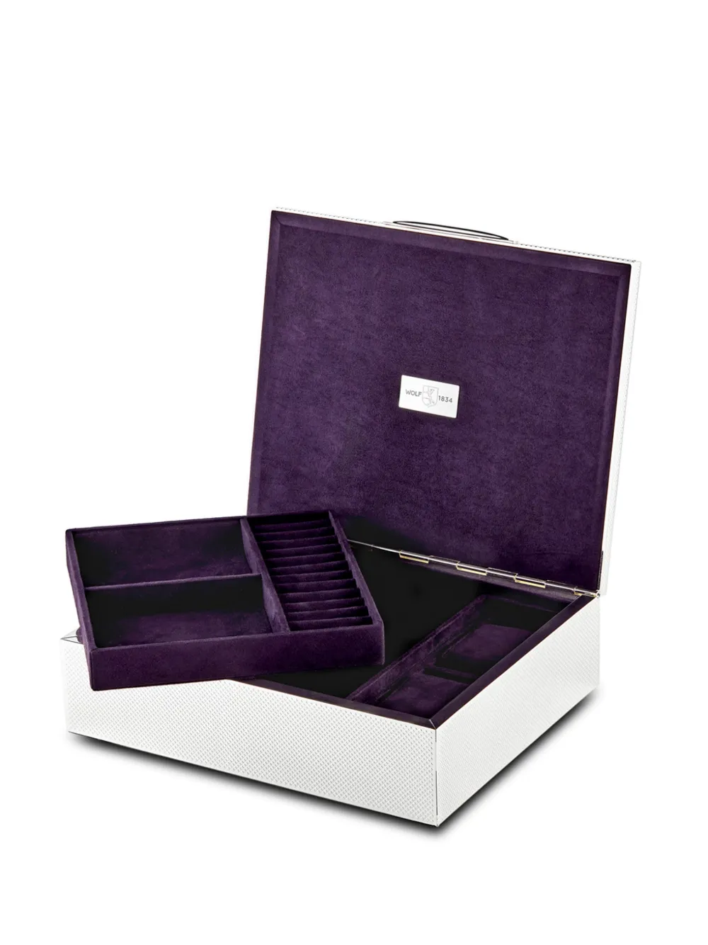 The Silver Watch Box