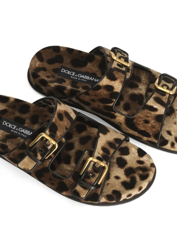 Dolce & Gabbana ヒョウ柄 サンダル ブラウン Dolce & Gabbana レオパード サンダル | ブラウン | FARFETCH JP