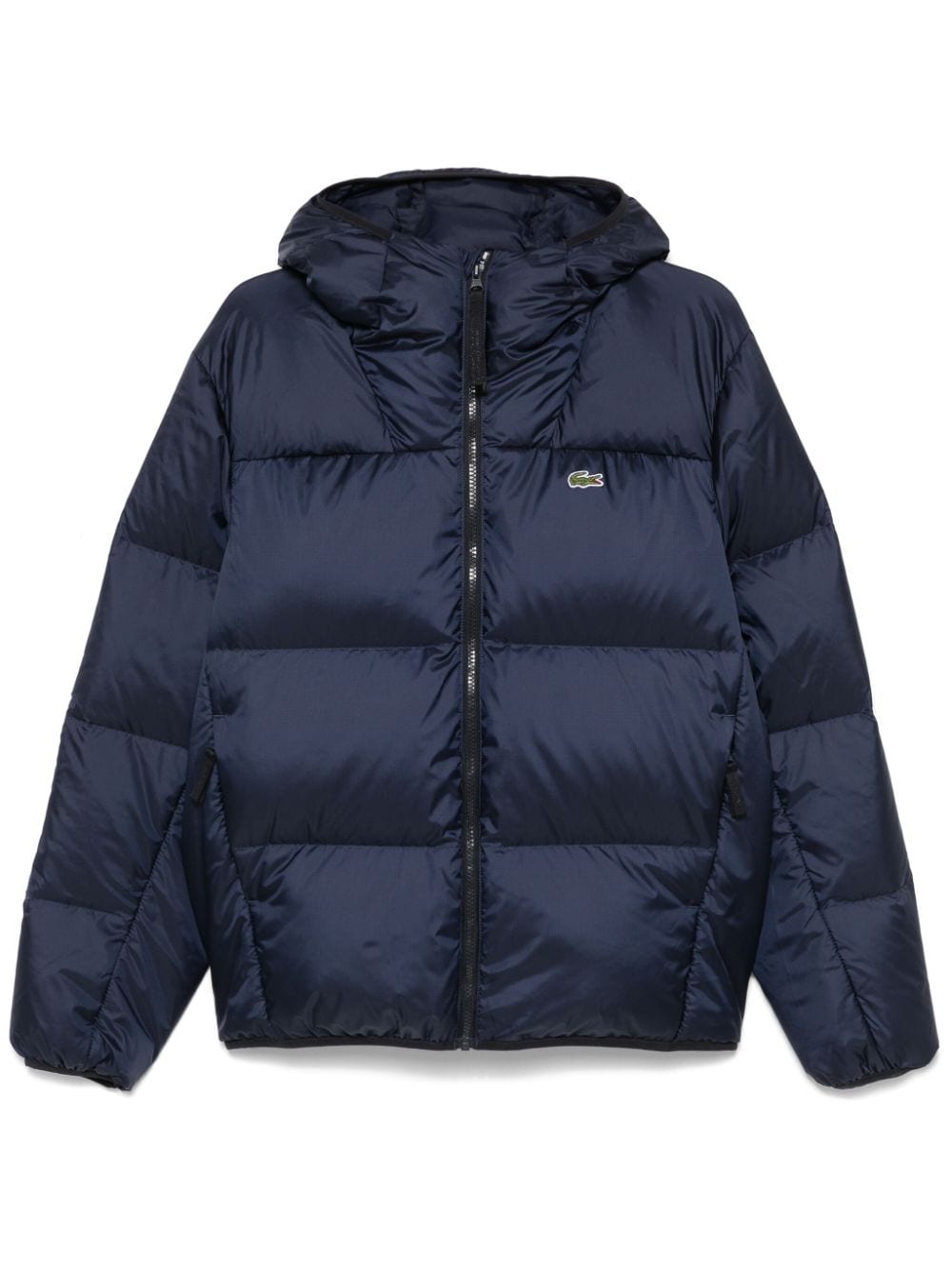 Shop Lacoste Hooded Padded Jacket In Blue