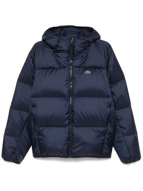 Lacoste hooded padded jacket Men