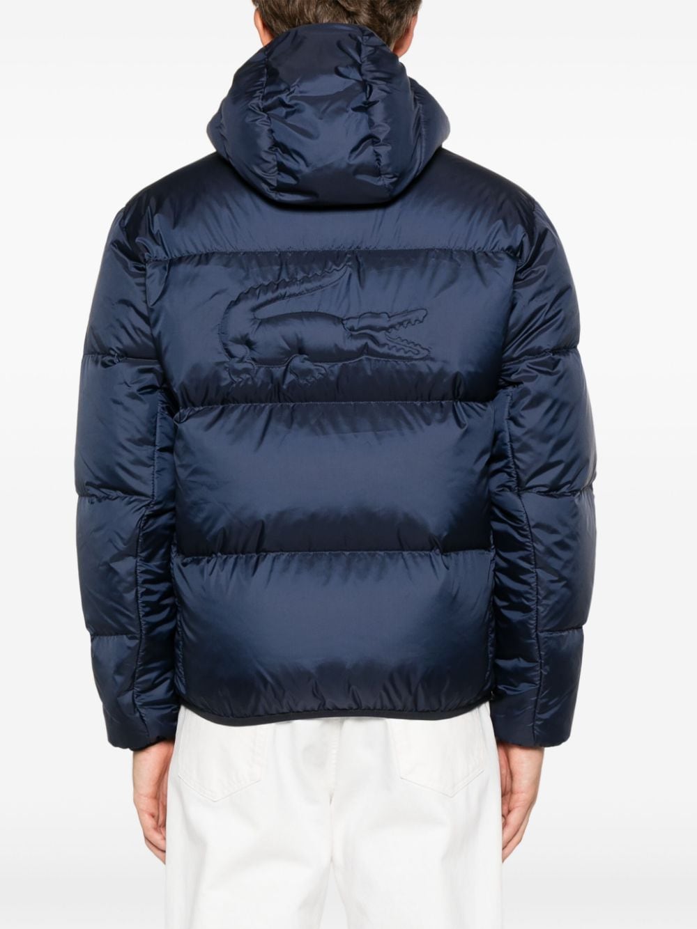 Shop Lacoste Hooded Padded Jacket In Blue