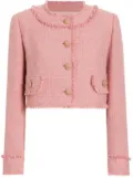 Dolce & Gabbana tweed jacket - Pink