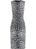 Dolce & Gabbana animal-print midi dress - White