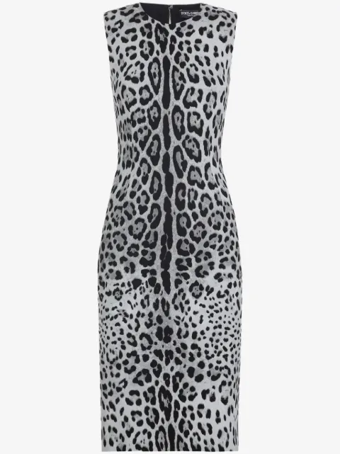 Dolce & Gabbana animal-print midi dress