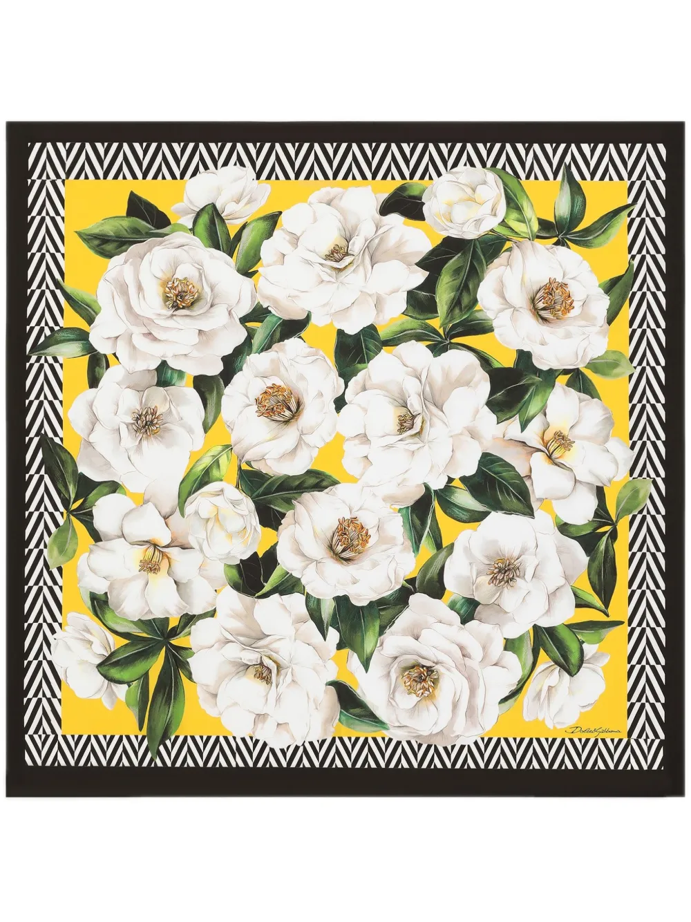 Dolce & Gabbana Floral-print Scarf In Brown