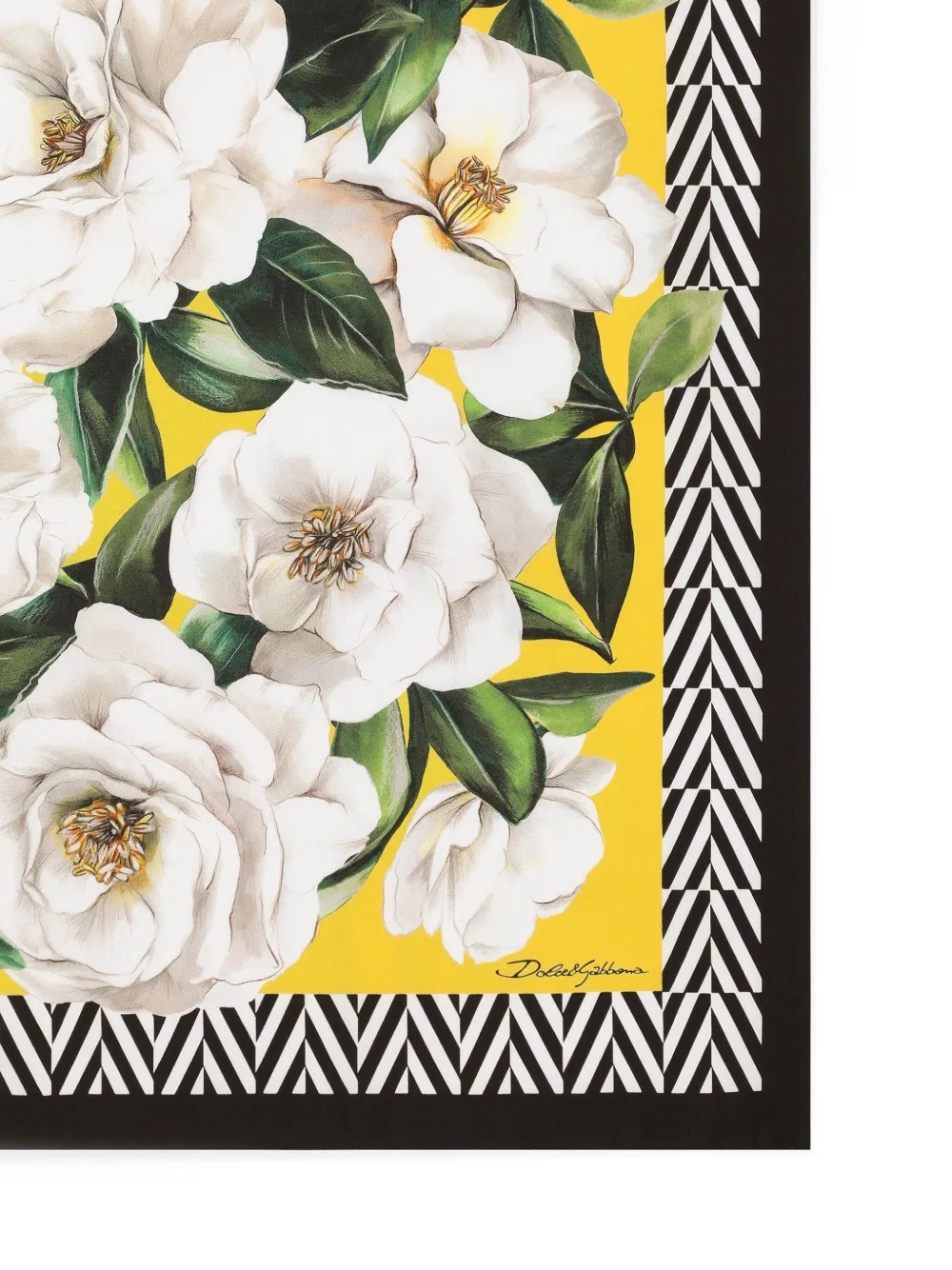 Dolce & Gabbana Sjaal met bloemenprint - Zwart