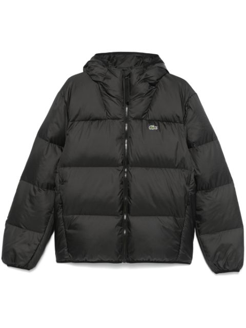 Lacoste hooded padded jacket Men