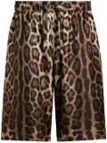 Dolce & Gabbana leopard-print shorts - Brown