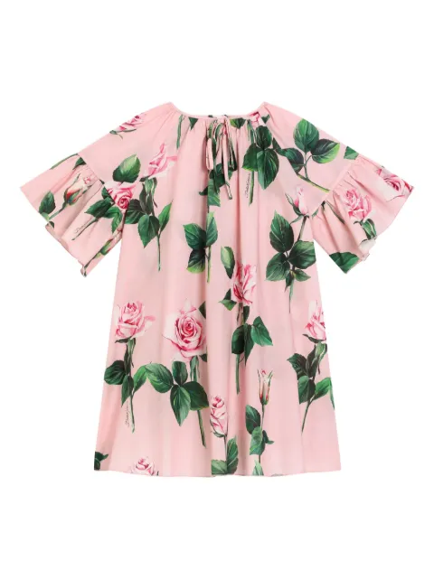 Dolce & Gabbana Kids rose-print dress