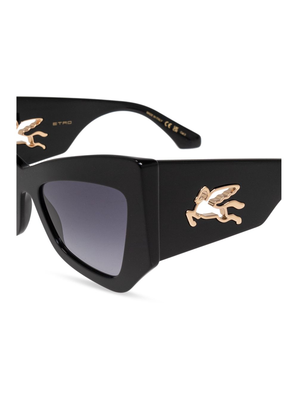 ETRO Etromania sunglasses Women