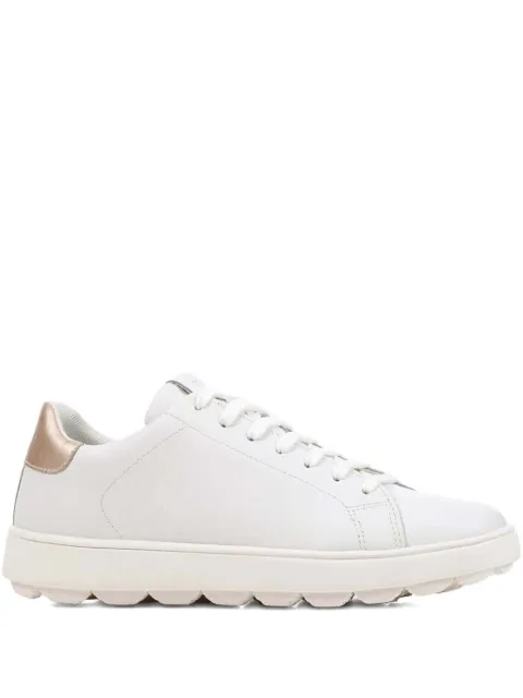 Geox lace-up sneakers