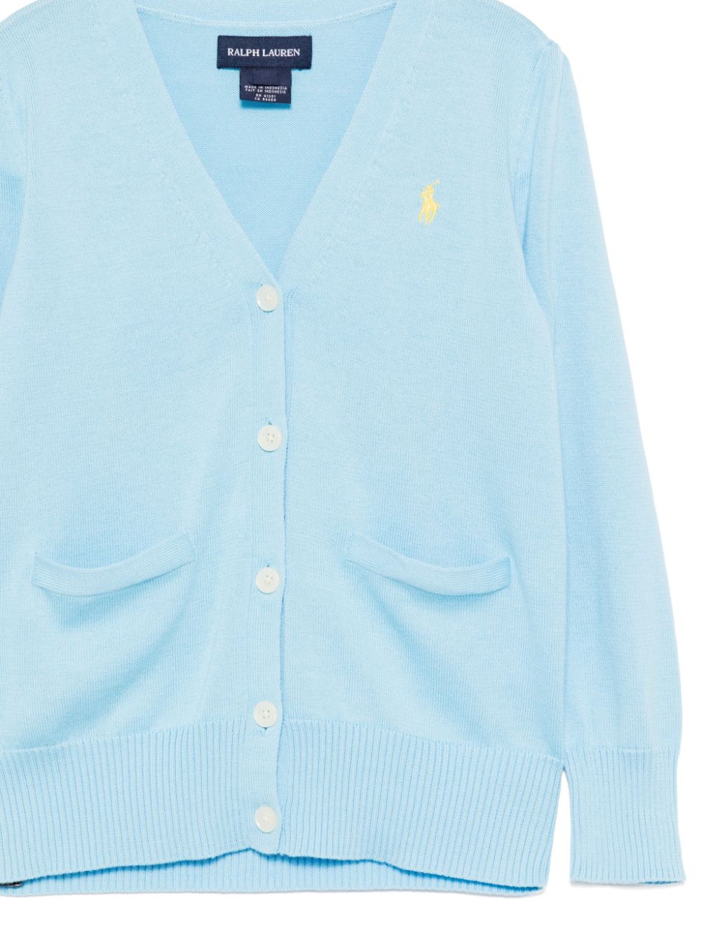 POLO RALPH LAUREN KIDS Polo Pony vest Blauw