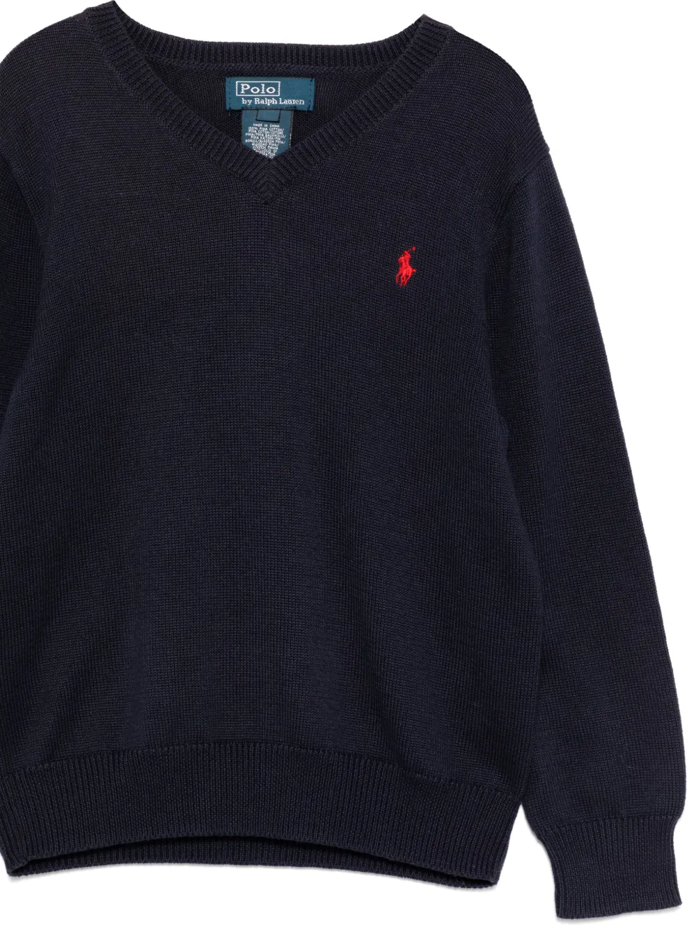 POLO RALPH LAUREN KIDS Trui met borduurwerk Blauw