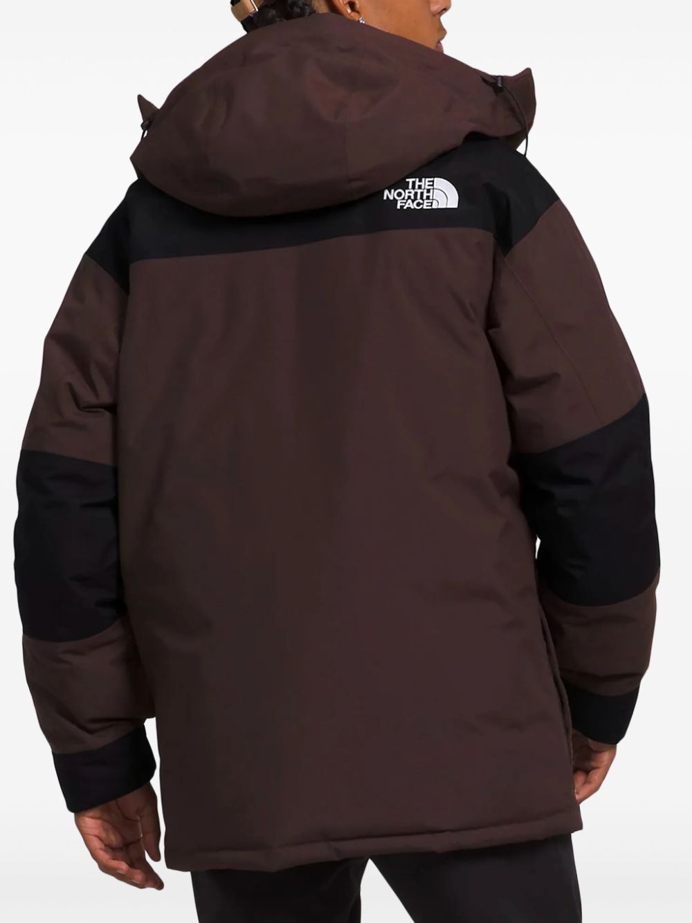 Shop The North Face Coldworks Down Parka In 褐色