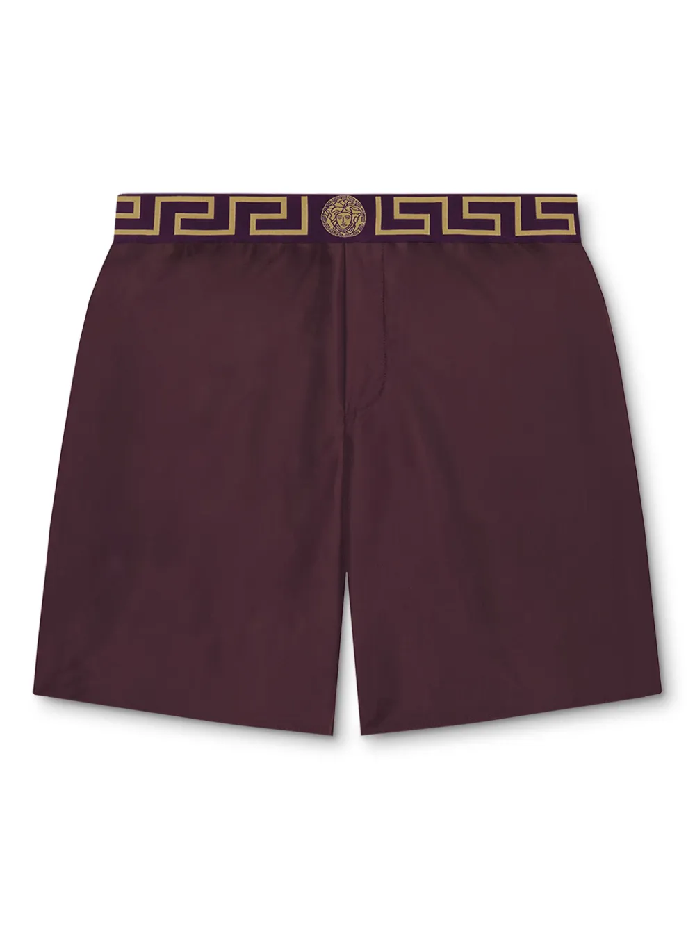 Greca Border swim shorts