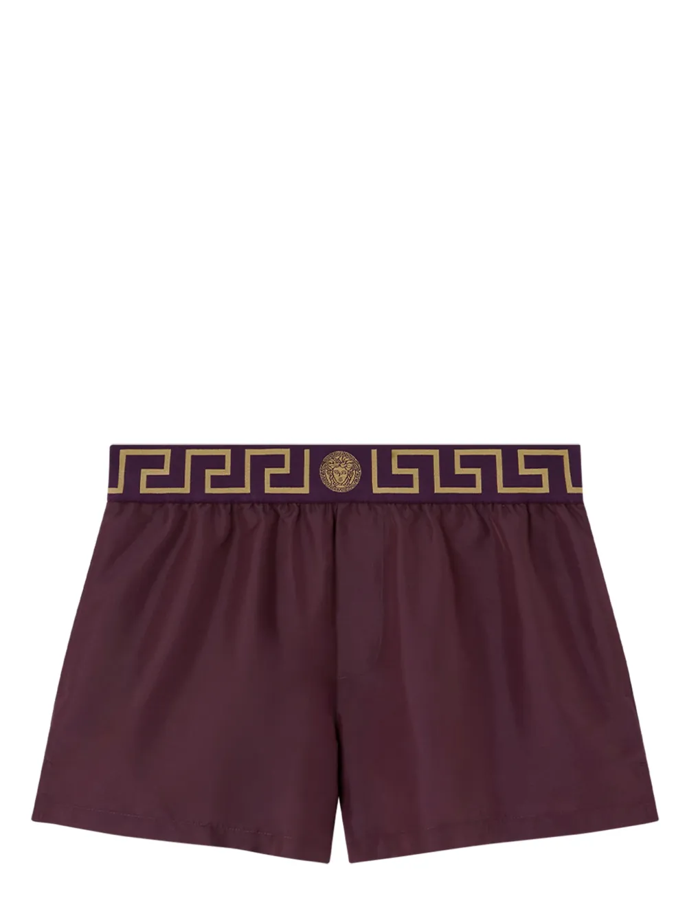 Greca Border swim shorts