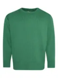 BODE merino sweater - Green