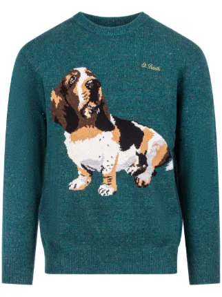 basset hound sweaters