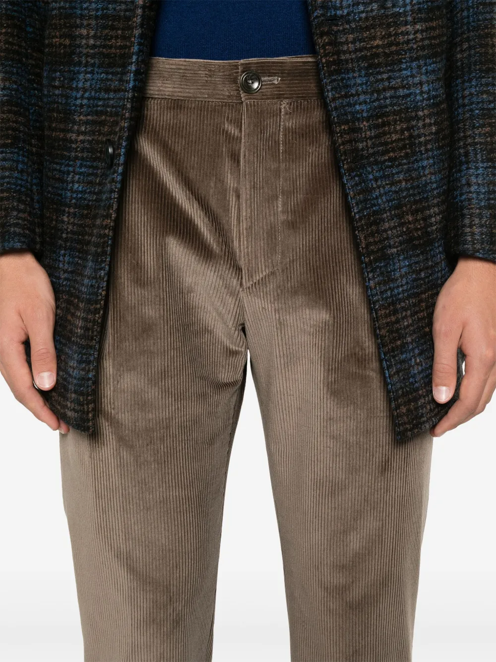 Tagliatore Ribfluwelen broek Bruin