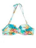 Marlies Dekkers Hula Haka bikini top - Blue