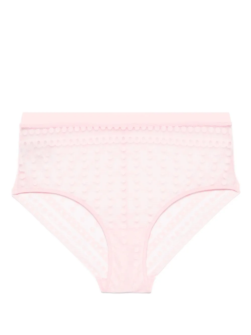 Luminosa briefs