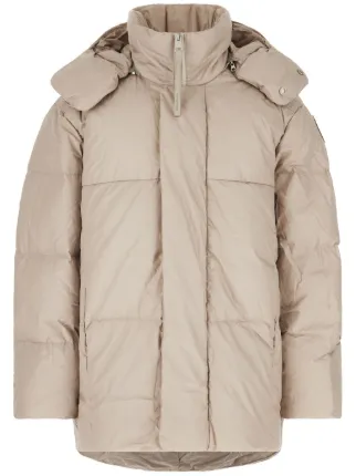 Canada Goose