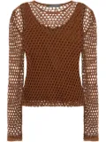 Alberta Ferretti mesh long-sleeves top - Brown