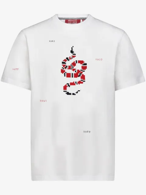 Mostly Heard Rarely Seen 8-Bit Snake Years T-Shirt