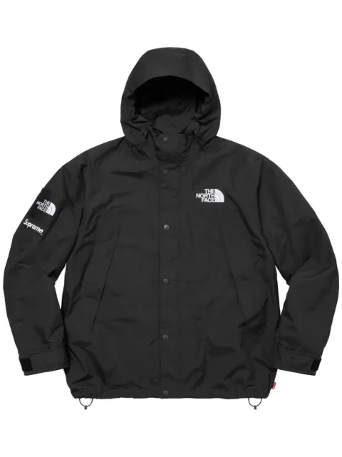 Supreme x The North Face mountain jacket