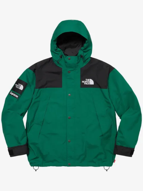 Supreme куртка из коллаборации с The North Face