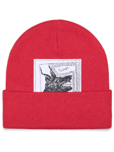 Supreme x The North Face beanie