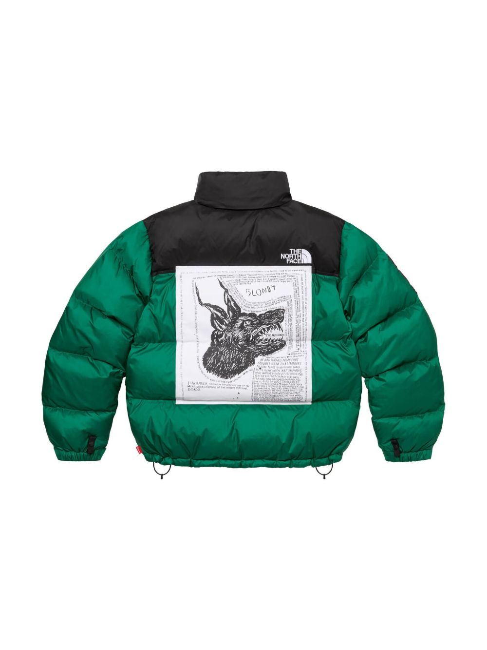 Supreme x The North Face Nuptse puffer jacket - Groen