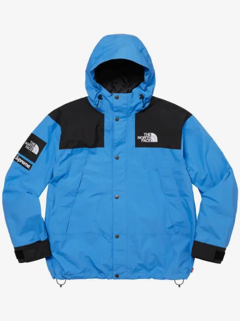 Supreme x The North Face mountain jacket
