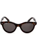 Ray-Ban Wayfarer Way sunglasses - Brown