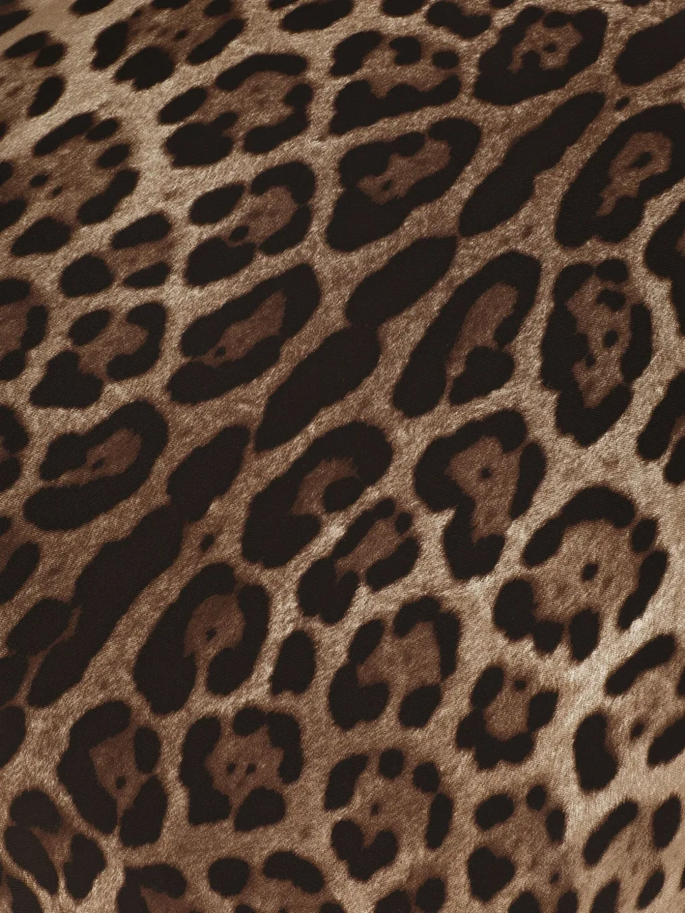 Dolce & Gabbana Leopard-print Silk Cushion (60cm X 60cm) In Brown
