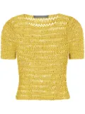 Alberta Ferretti open-knit T-shirt - Yellow