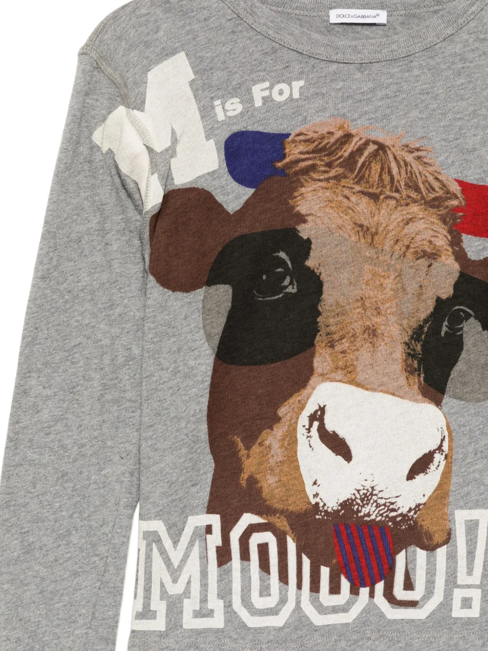 Dolce & Gabbana Kids T-shirt met grafische print Grijs