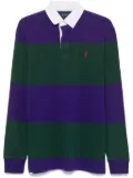 Polo Ralph Lauren Iconic Rugby polo shirt - Purple