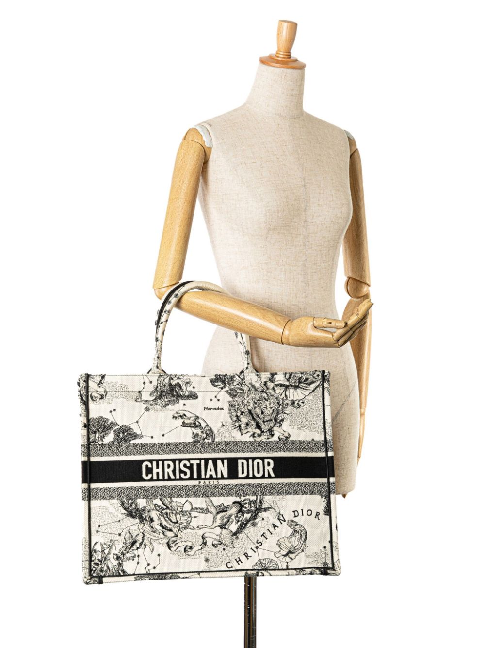 Christian Dior 2021 Large Zodiac Book tote bag Women