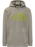 The North Face Tekno hoodie - Grey