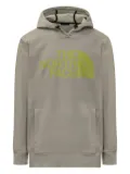 The North Face Tekno hoodie - Grey