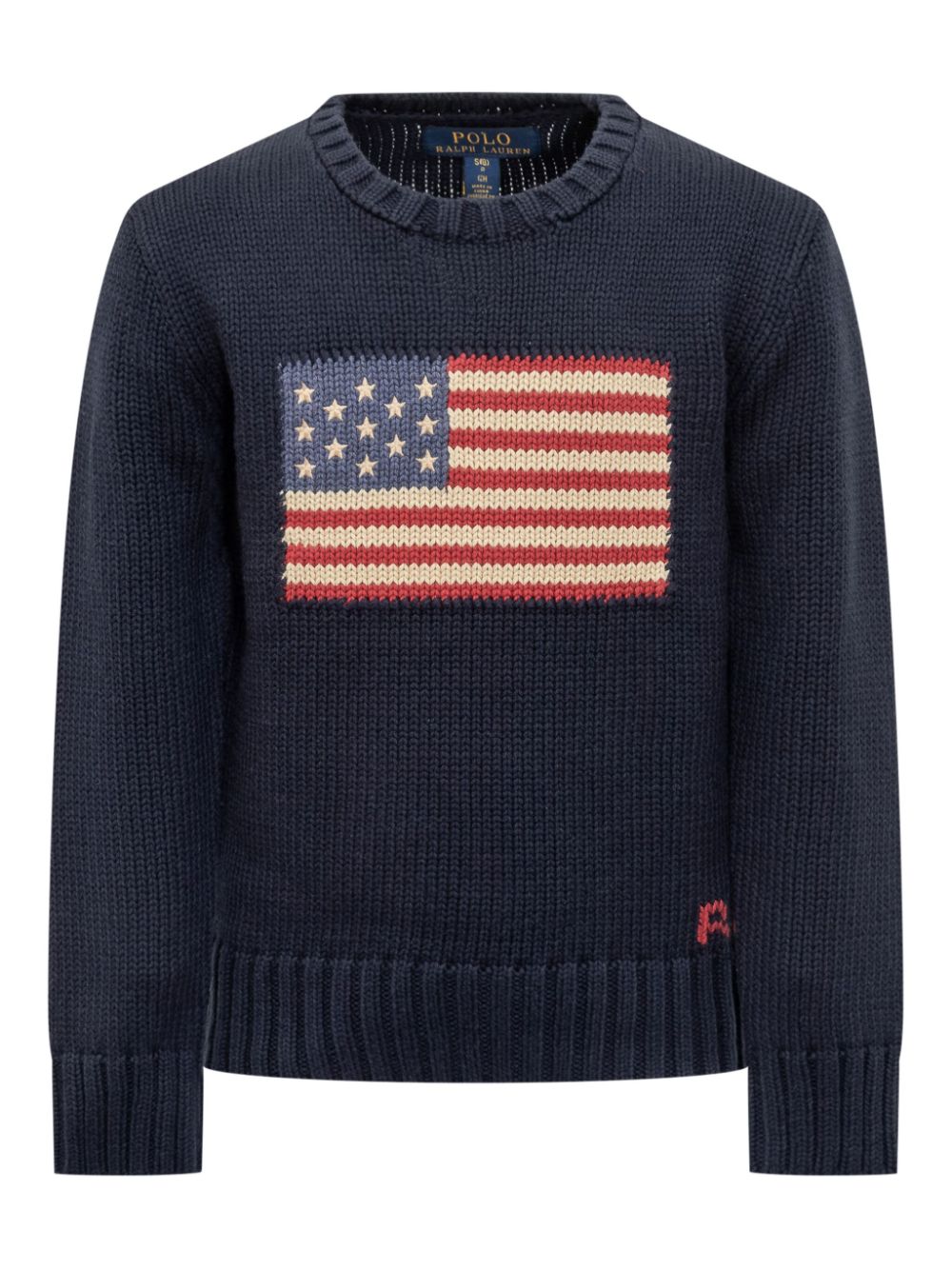 POLO RALPH LAUREN KIDS Trui met vlag Blauw